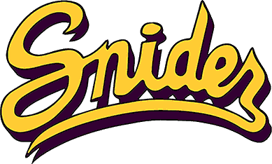 Fort Wayne Snider logo