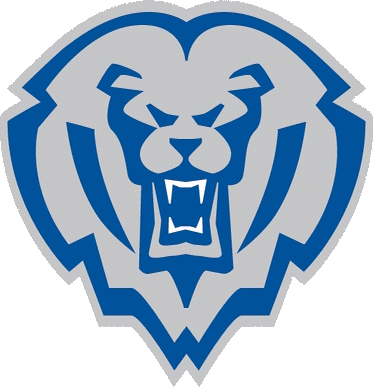 Hamilton Southeastern logo