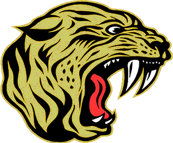 Jasper logo