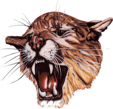 North Daviess logo