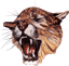 North Daviess logo