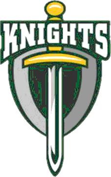 Northeastern logo