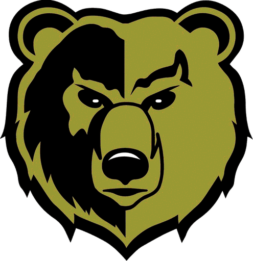 Shelbyville logo