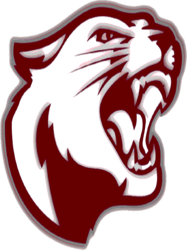 South Decatur logo