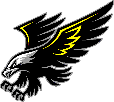 Springs Valley logo