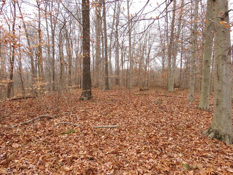 0 S Lick Creek Road, Morgantown, IN 46160 property photo 2