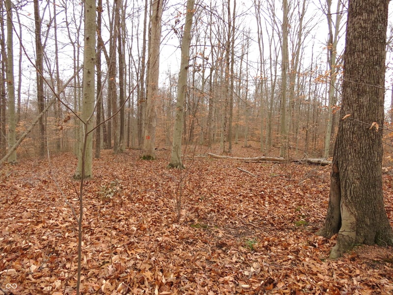 0 S Lick Creek Road, Morgantown, IN 46160 property photo 3