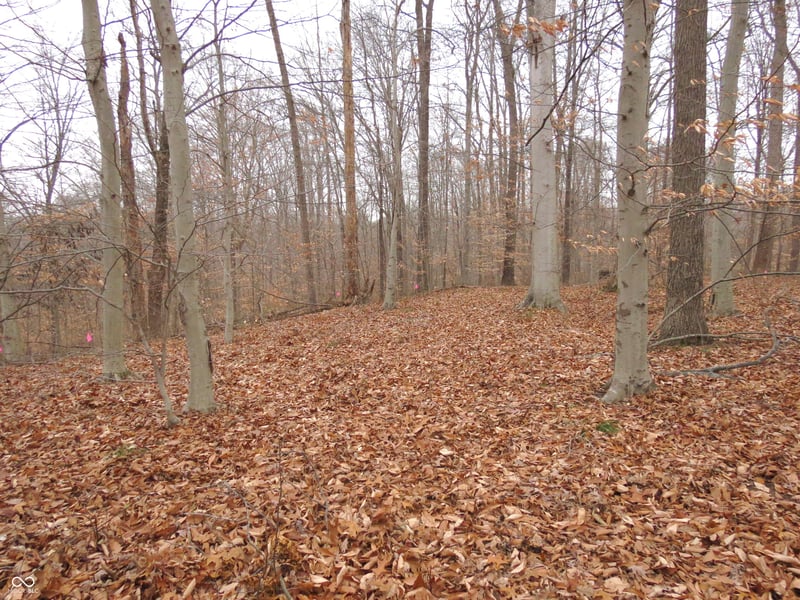 0 S Lick Creek Road, Morgantown, IN 46160 property photo 4