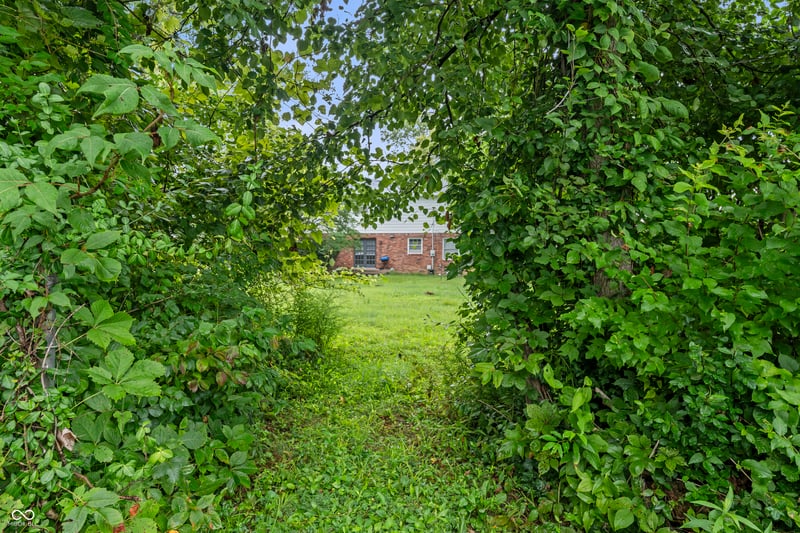 5329 Hedgerow Drive property photo 3