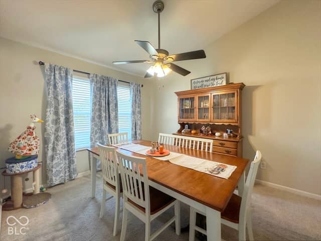 1140 Frogs Leap Lane, Cicero, IN 46034, photo 4 of 16