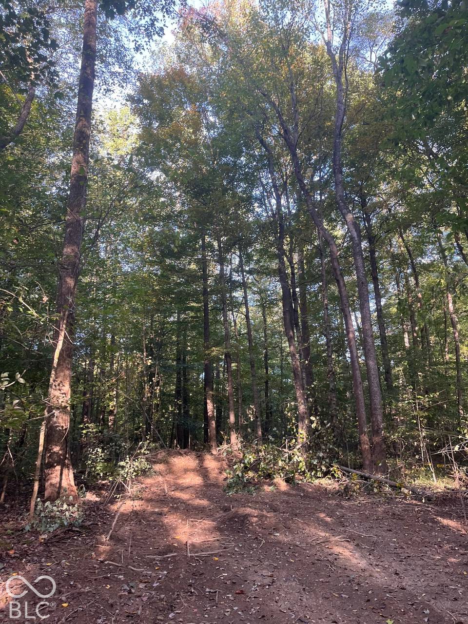 Tract 9 Sunnyside Road, Deputy