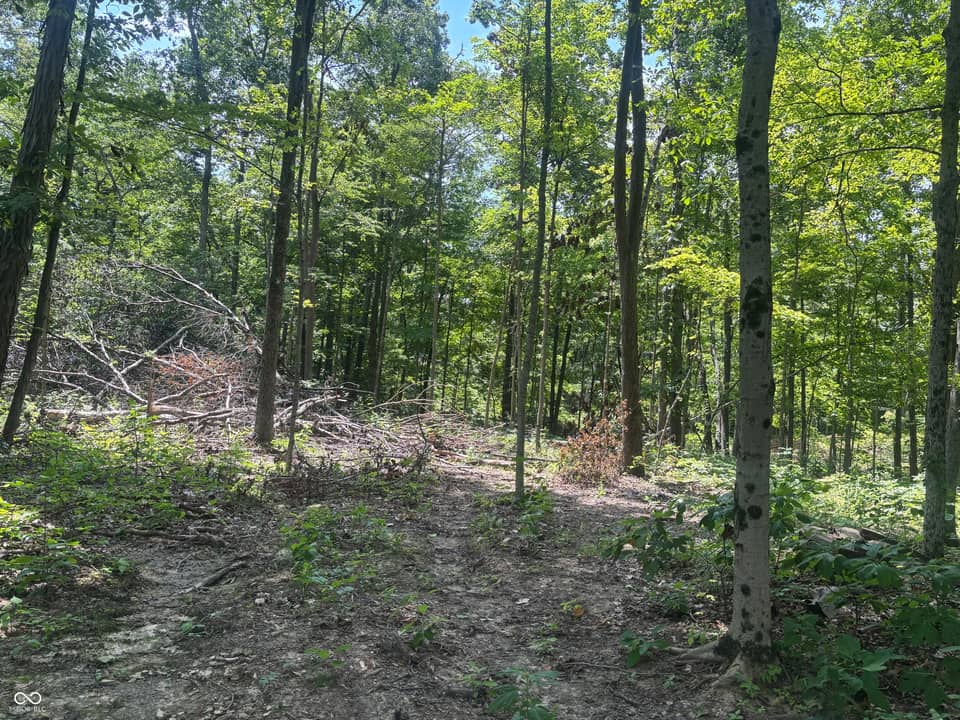 3 Jester Road, Brookville