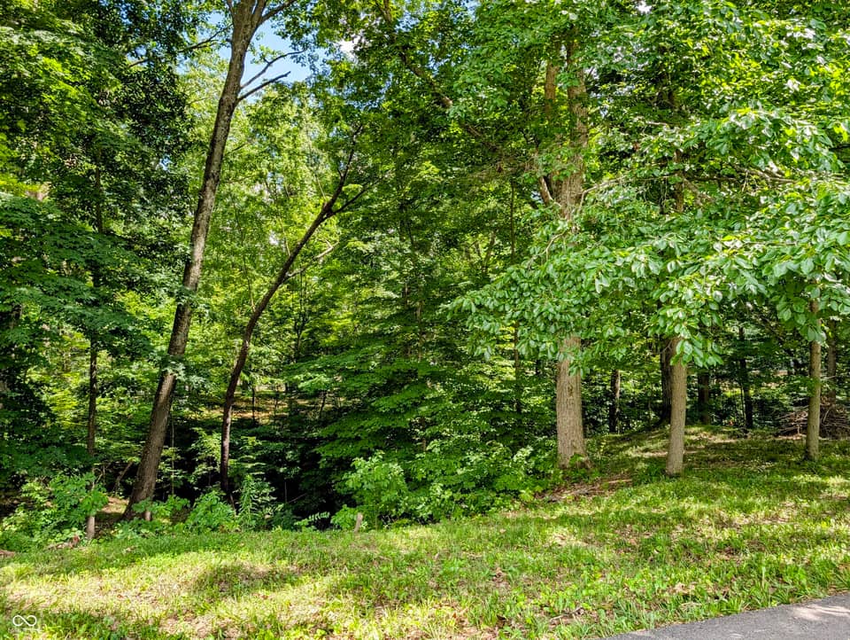 0 S Cove Road, Martinsville