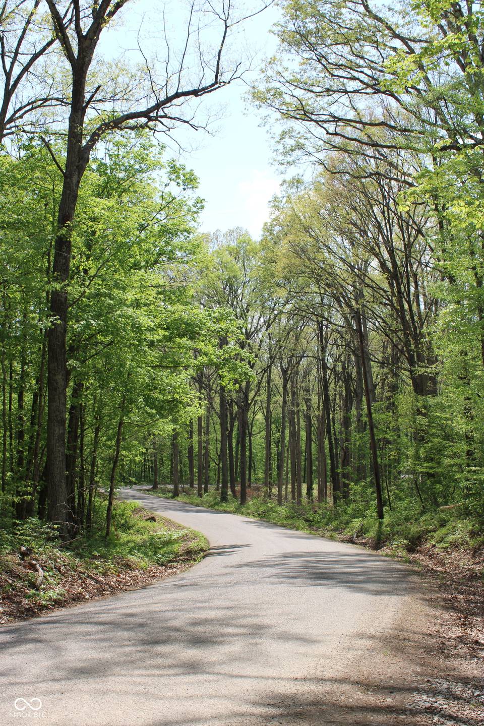 Tract 4: 0 N County Road 555 E, Butlerville
