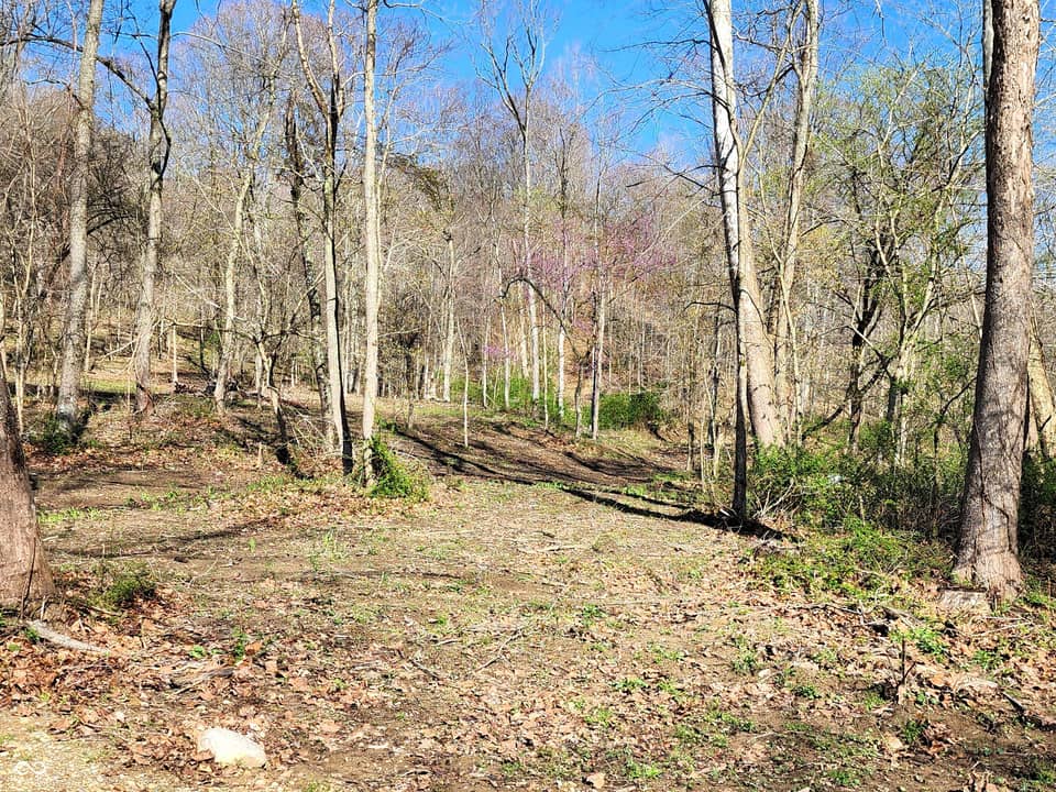 0 Goat Hollow Estates Lot 4, Martinsville
