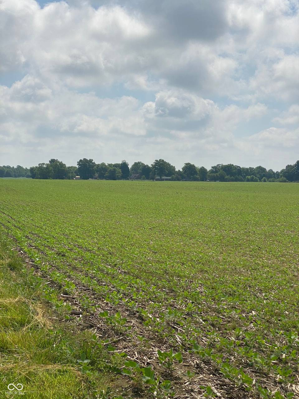 TBD E State Road 236, North Salem