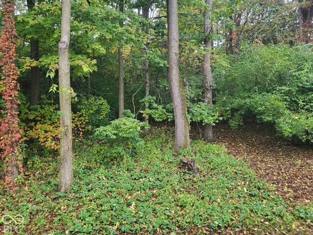 5966 Blue Heron Way, Plainfield, IN 46168, photo 4 of 22