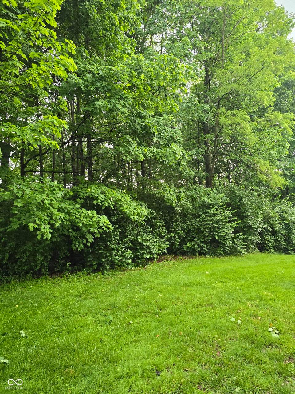 9895 Irishmans Run Lane, Zionsville