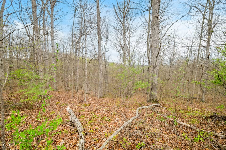 4100 Block of Lower Schooner Road, Nashville