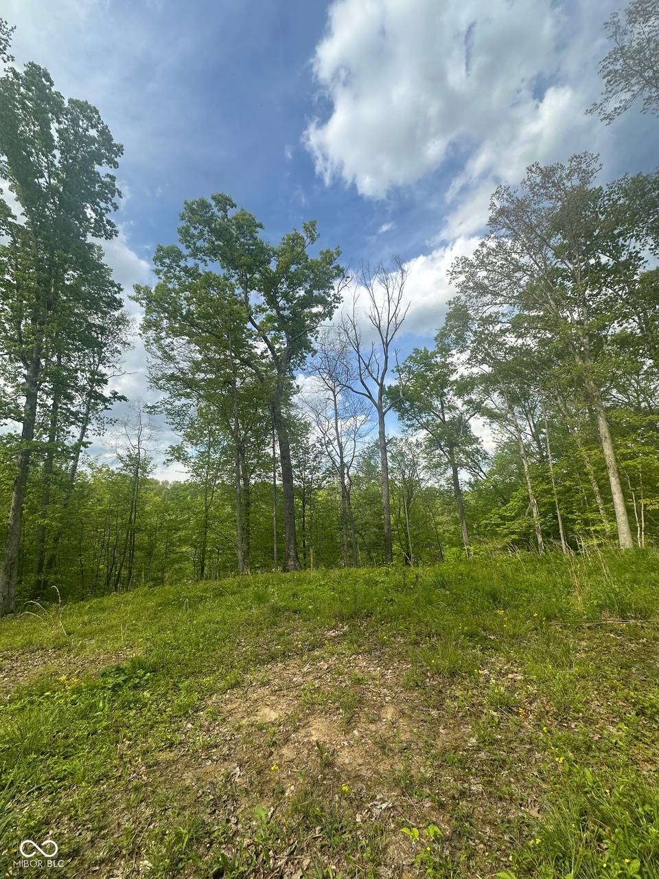 0 N Lasalle Road, Morgantown