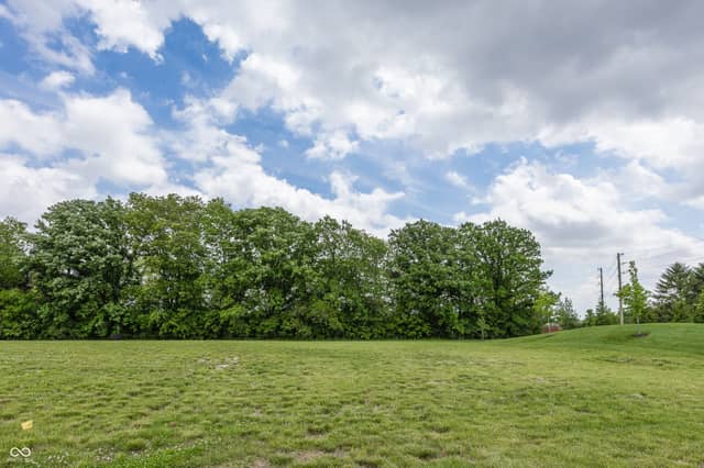 5742 Cupola Lane, Mccordsville, photo 2 of 6
