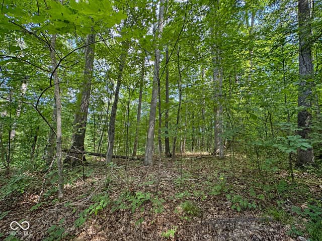 8045 N Ritter Road, Morgantown, IN 46160, photo 5 of 70