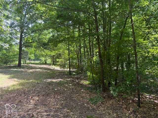 0 Buffalo Pike Road, Freetown