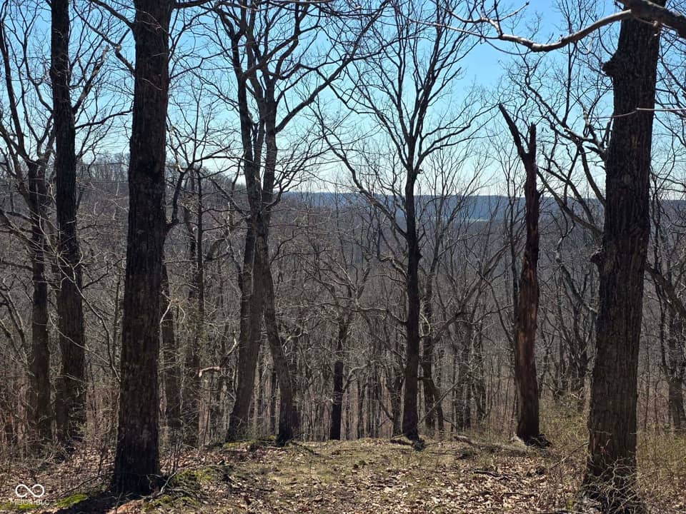 9300 E Of Delaney Park Road, Scottsburg