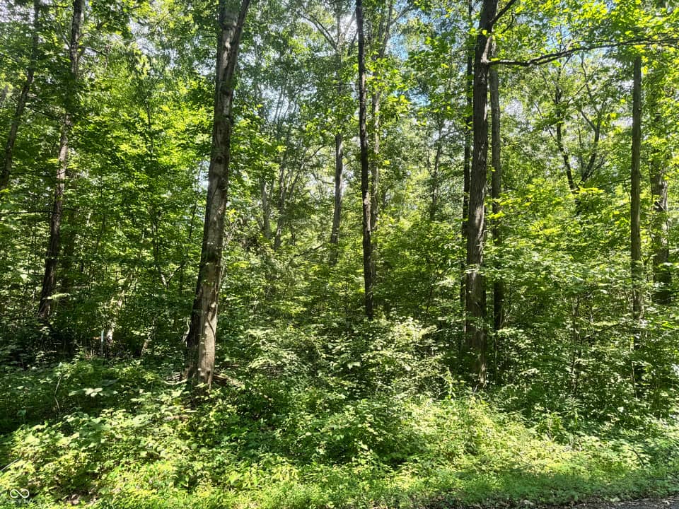145 White Oak, North Vernon