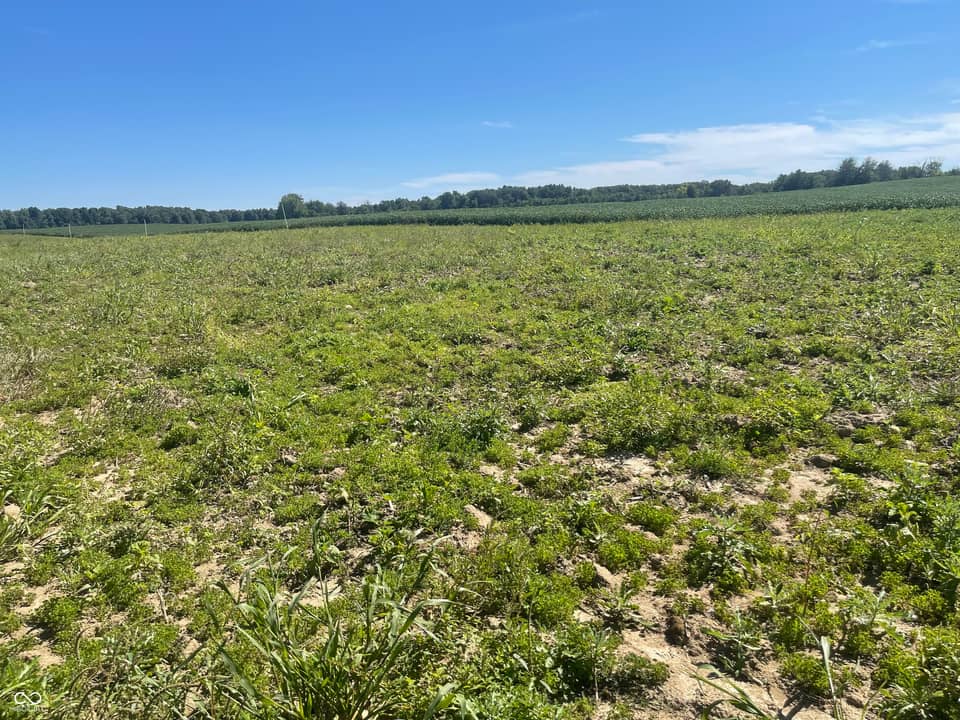 1 W CR 990 North Tract "G", Elizabethtown