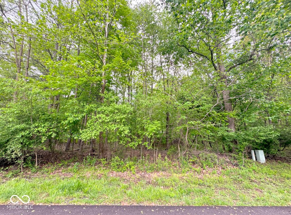 1555 Fox Cross Drive, Martinsville