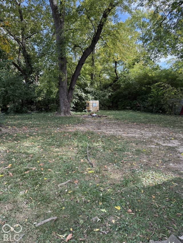 3351 N Grant Avenue, Indianapolis, IN 46218, photo 3 of 9