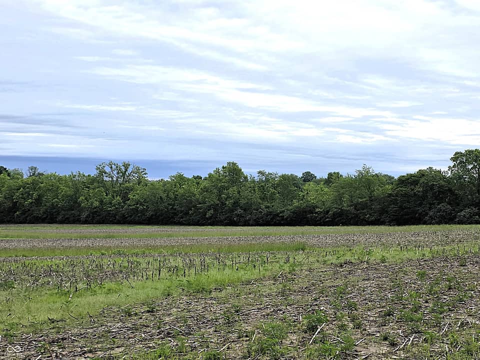 Lot 5 Legacy Meadows, Martinsville