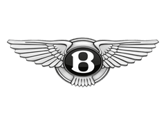 Bentley AdBlue programavimas
