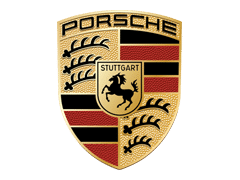 Porsche DPF programavimas
