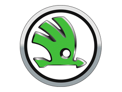 Skoda programavimas