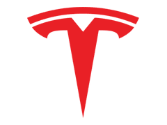 Tesla EGR programavimas