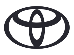 Toyota AdBlue programavimas