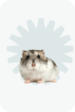 Товари для Карликових Хомʼячків