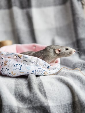 ・ Зібрати Наборчик・