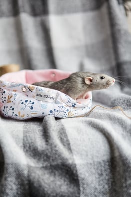 ・ Зібрати Наборчик・