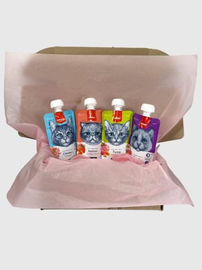 BIG Набір смаколиків Wanpy | 4 смаки