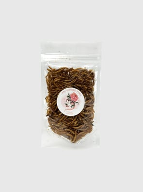 Борошняний Хробачок 🪱