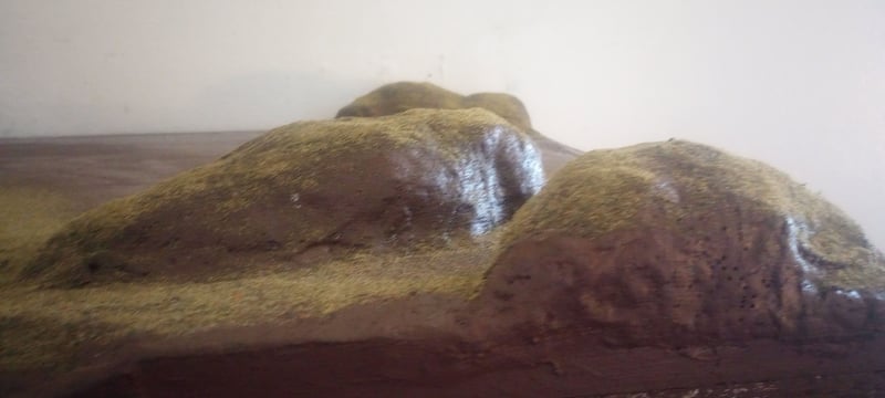 IMG_20250913_172455340