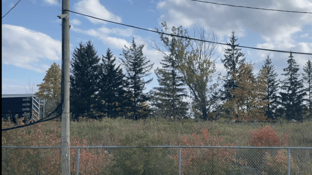 CN short train 720