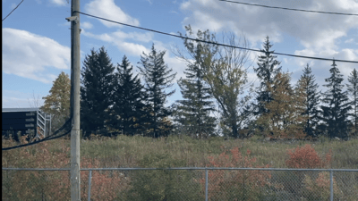 CN short train 720
