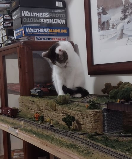 IMG_20240304_101205878