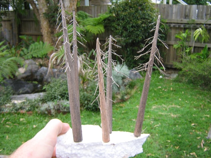 Tall N scale redwoods
