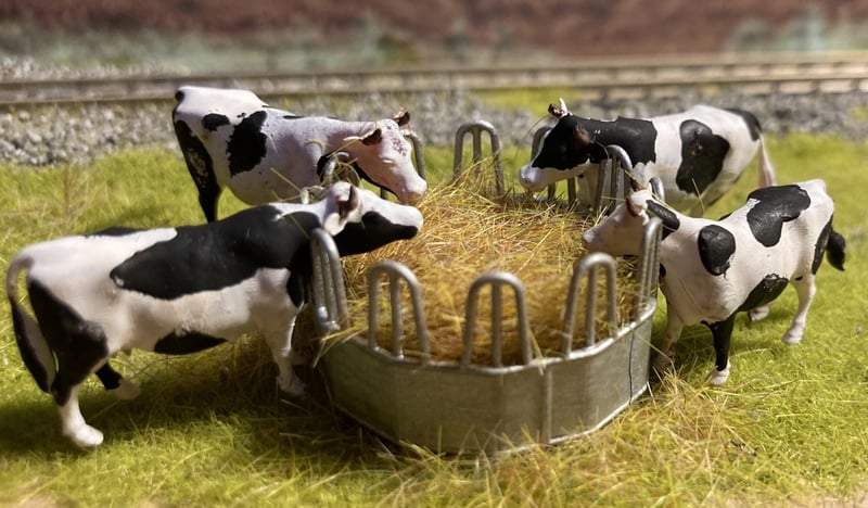 RF-0043-H-76 Feed Ring