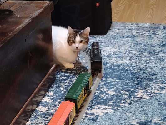 IMG_20251221_161257664